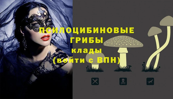 ECSTASY Балахна