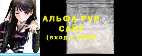 сатива Сатка