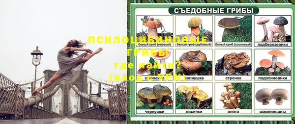 скорость Баксан